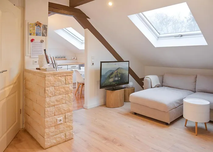 公寓 Puzzlestueck Am Schwarzwald, 2 Schlafraeume 阿绅